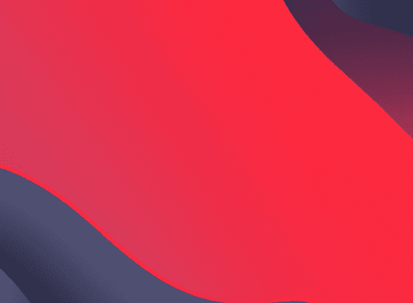 Sviluppo Web Professionale Oltre il Codice